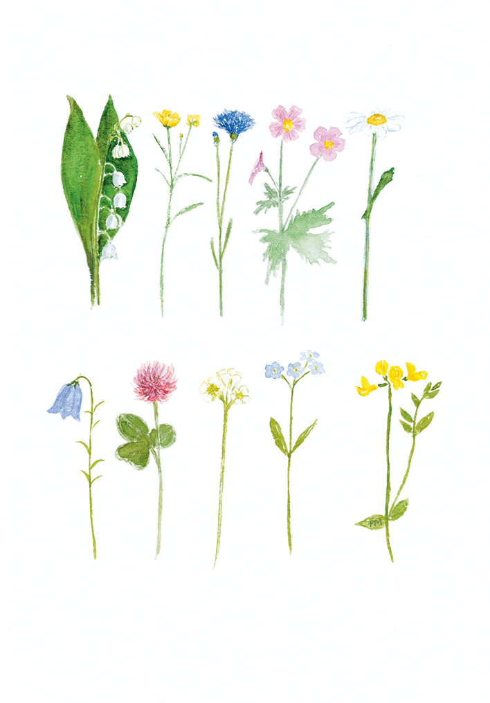 Blommor i rad, framsida