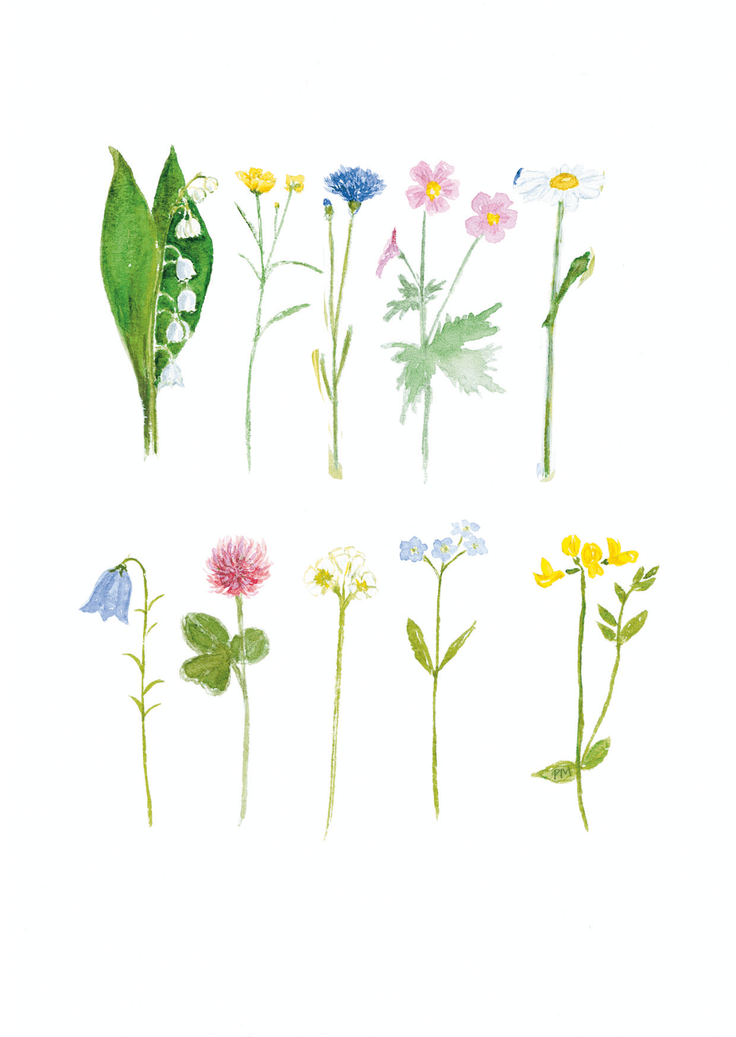 Blommor i rad, framsida