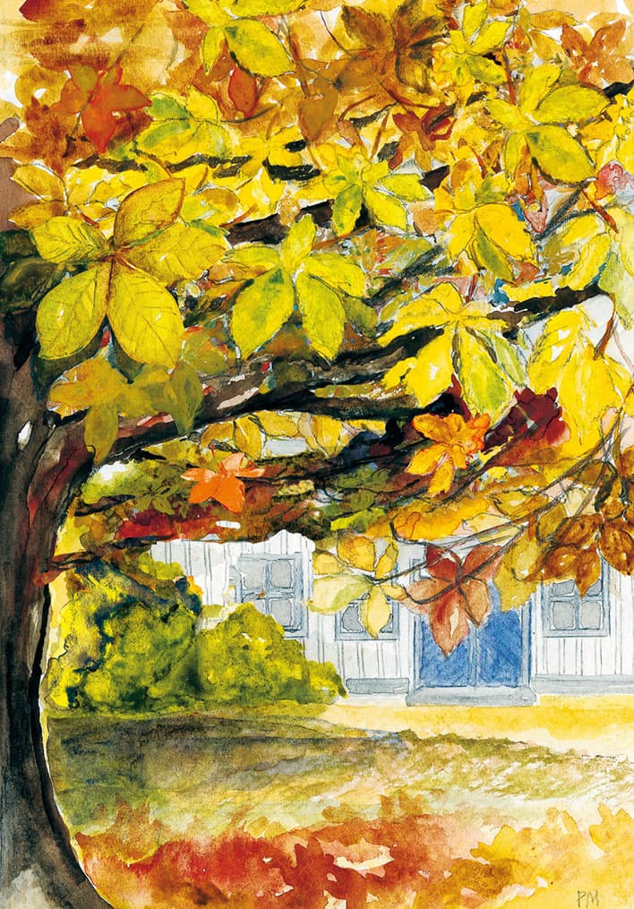 Kastanjen, framsida