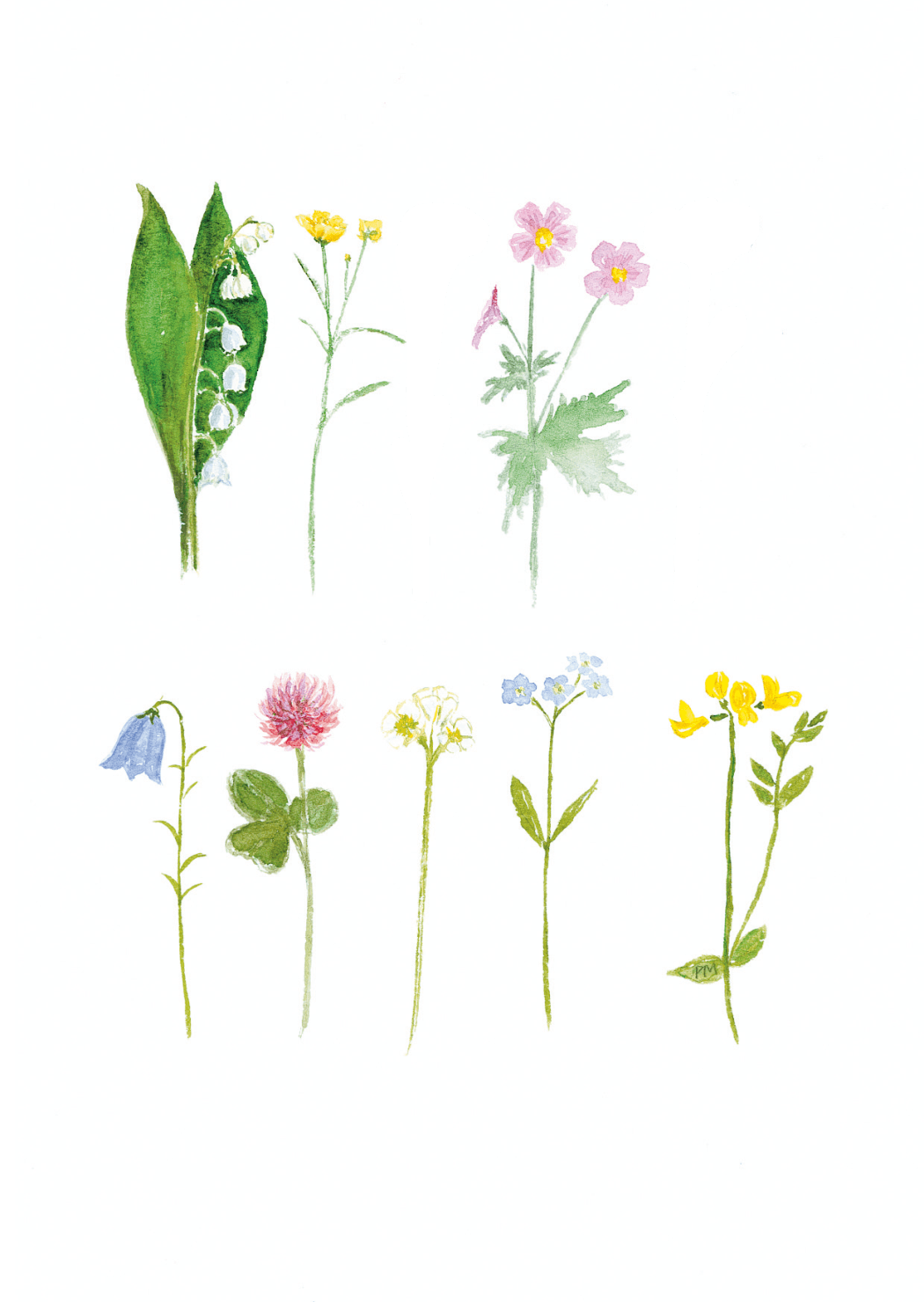Blommor i rad, framsida