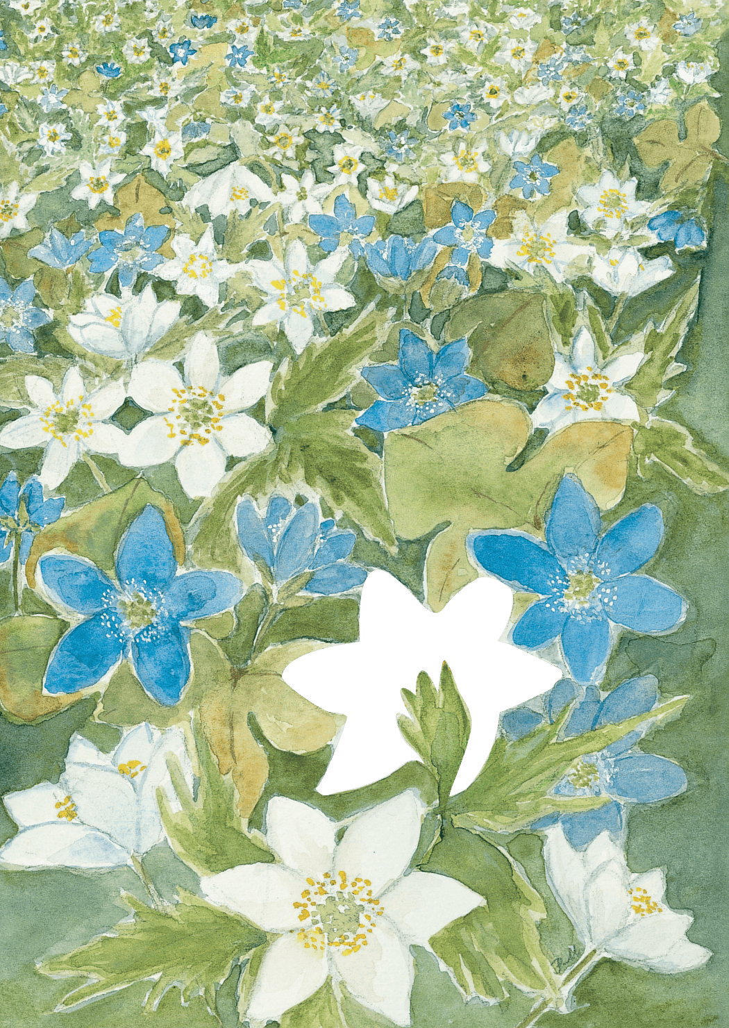 Sippor, framsida