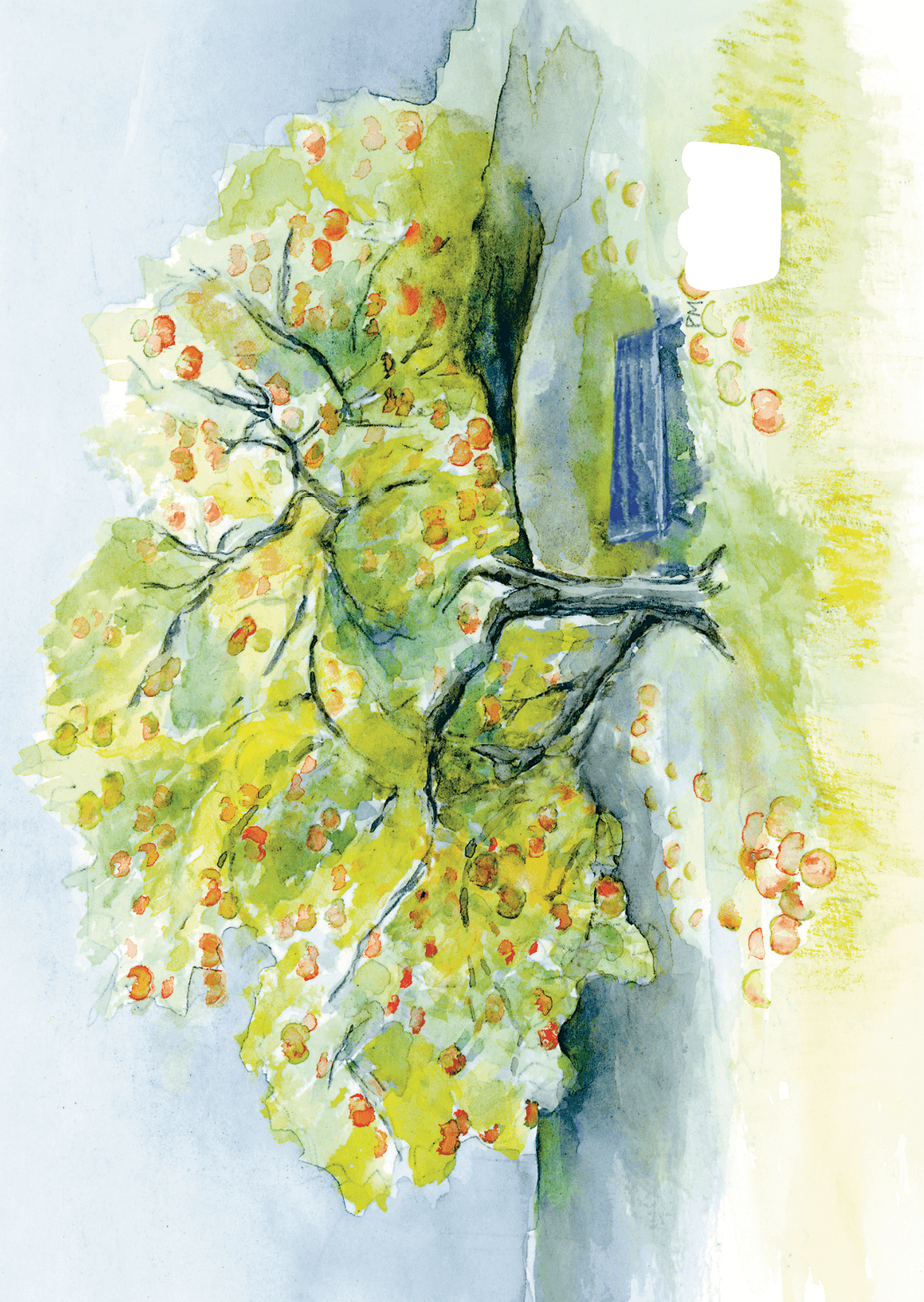Äppelträdet, framsida