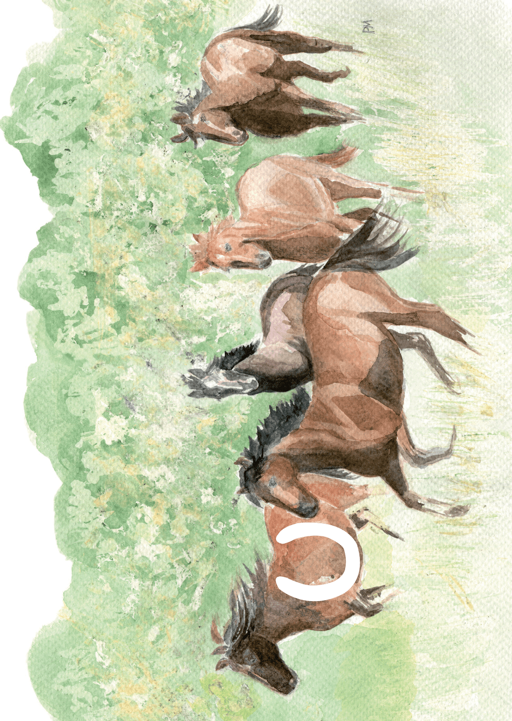 Hästar, framsida