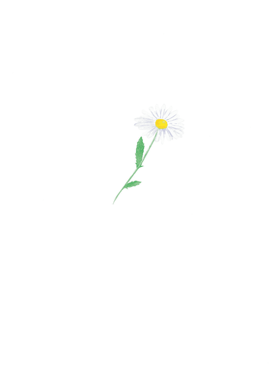 Sommarbukett, insida