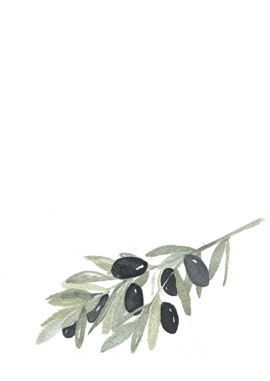 Citron-Oliv, insida