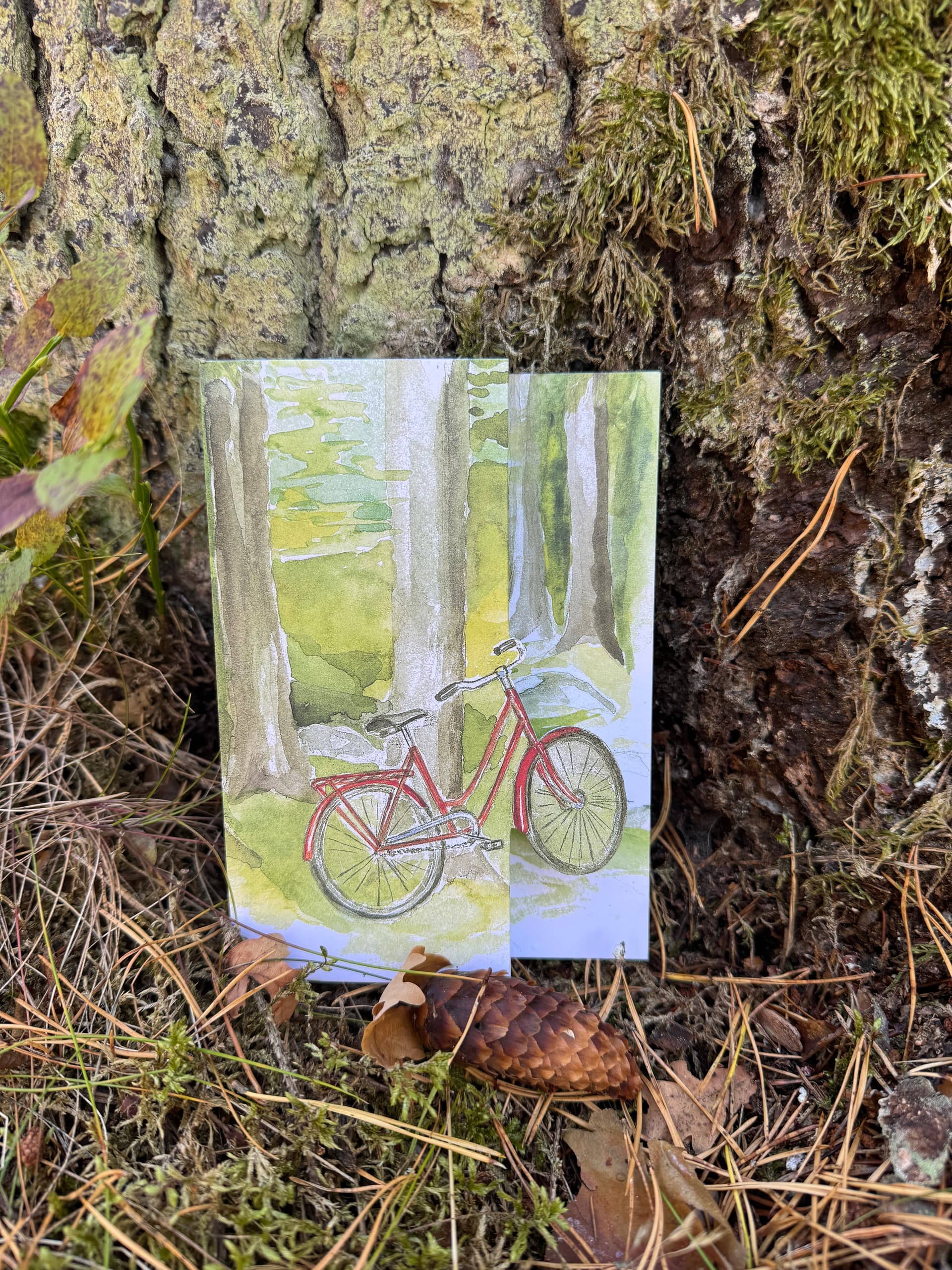 Cykel