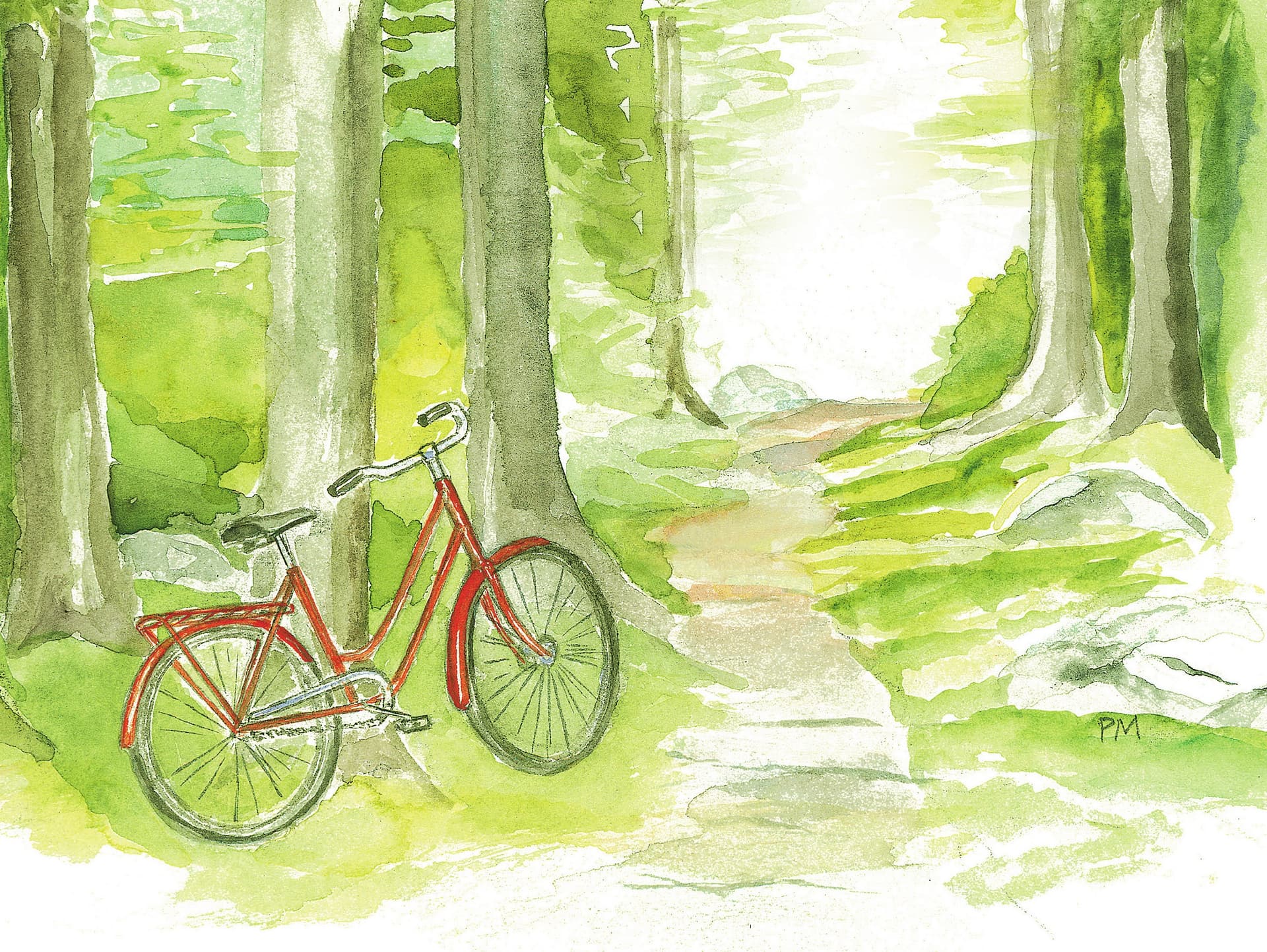Cykel
