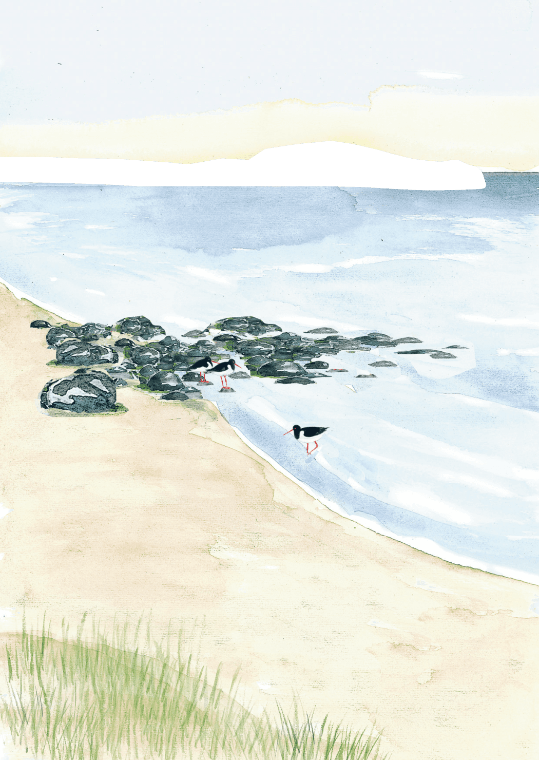 Strand, framsida