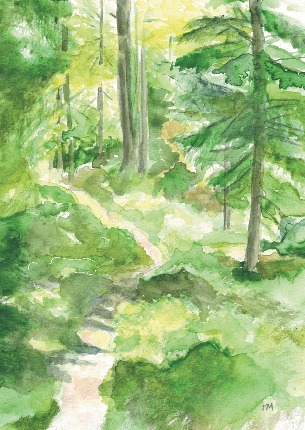 Svampskog, framsida